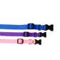 Embroidered Dog Collars
