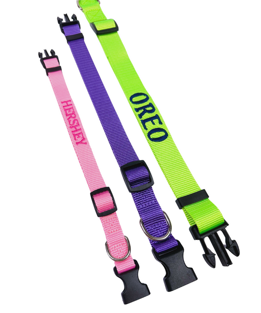 Embroidered Dog Collars